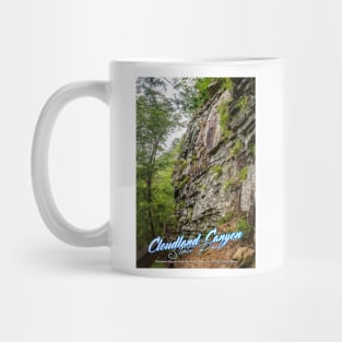 Cloudland Canyon State Park Mug